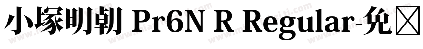 小塚明朝 Pr6N R Regular字体转换